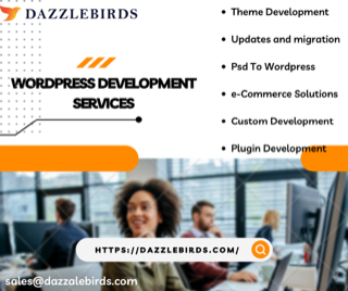 Dazzle Birds - Best Wordpress Web development Company