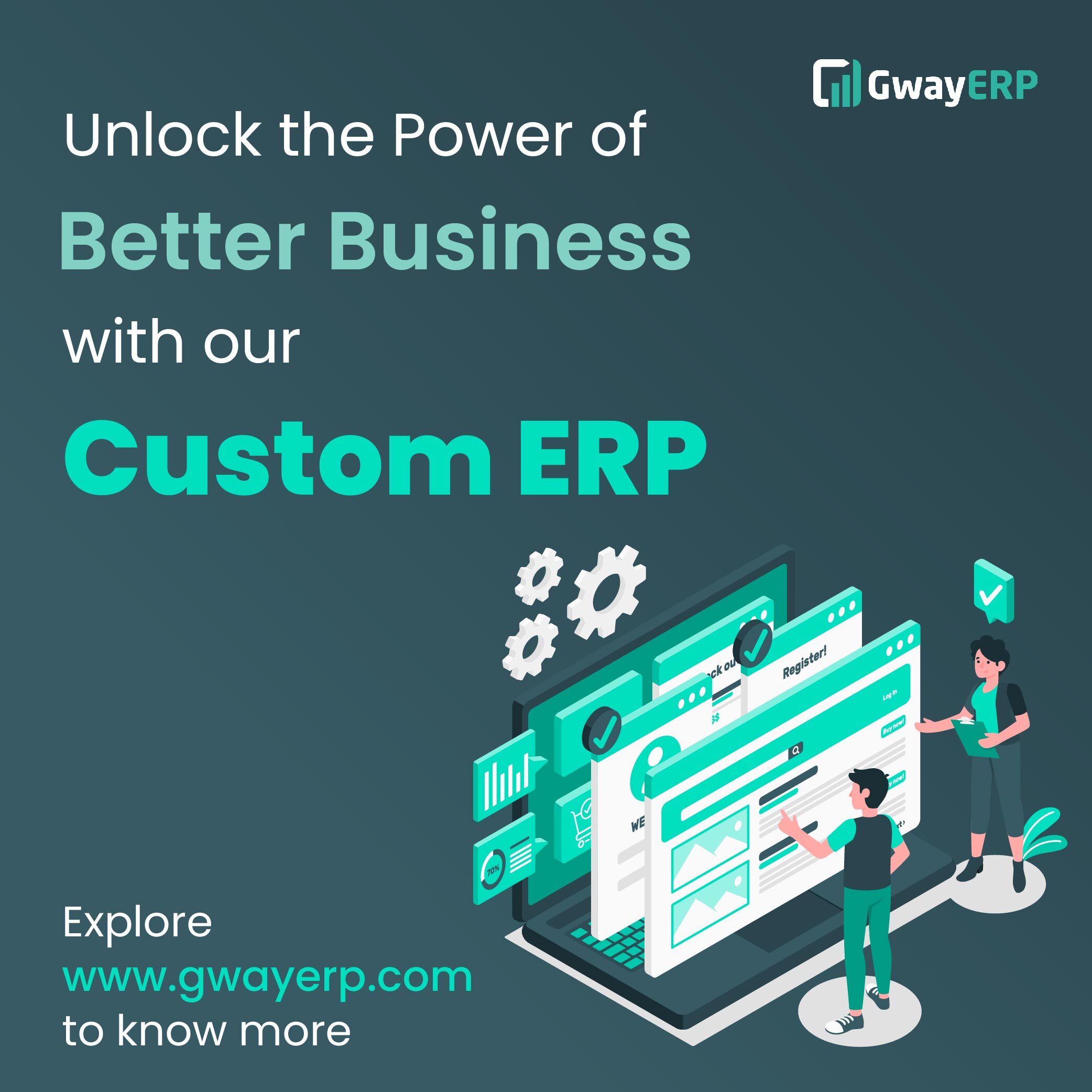 Custom erp software development