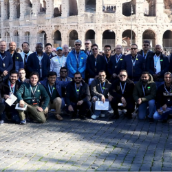 Mice (International)