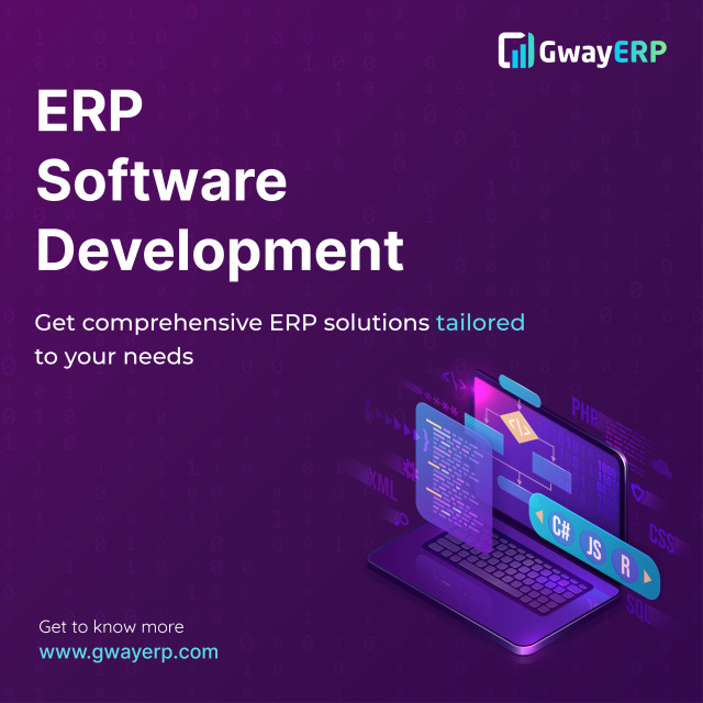 ERP Software Development Services